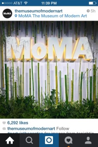 MoMA bamboo